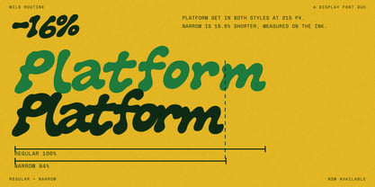 RT Wild Routine Font Poster 4