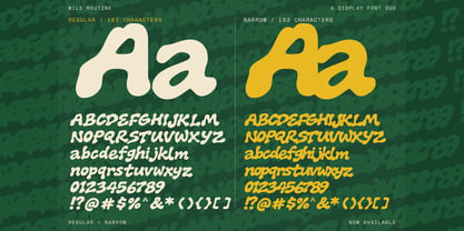 RT Wild Routine Font Poster 5