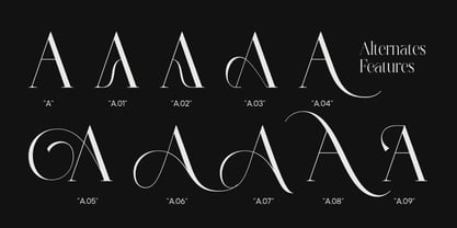 Angloris Font Poster 8