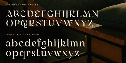 Mangi Font Poster 11