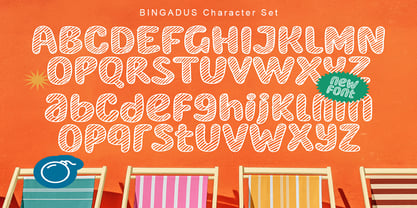 Bingadus Font Poster 5