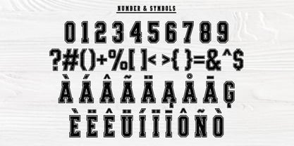 Varsity Distress Font Poster 3