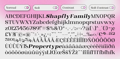 Zelmorith Font Poster 14