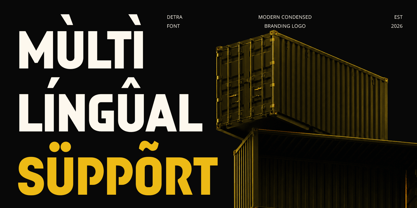 Detra Font Poster 13