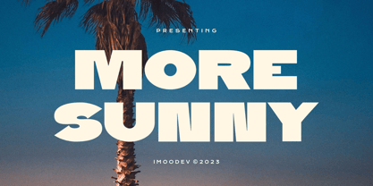 More Sunny Font Poster 1