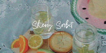 Summer Sunny Brush Font Poster 9