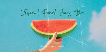 Summer Sunny Brush Font Poster 6