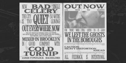 TFC Bachelord Font Poster 7