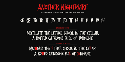 Another Nightmare Font Poster 13