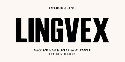 Lingvex Font Poster 1