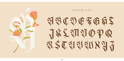 Heliopeec Font Poster 2