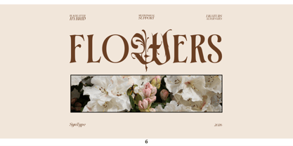 Heliopeec Font Poster 6