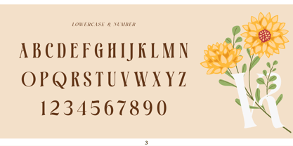 Heliopeec Font Poster 3