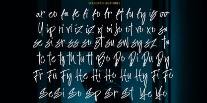 Bipolize Brush Font Poster 5