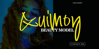Bipolize Brush Font Poster 8
