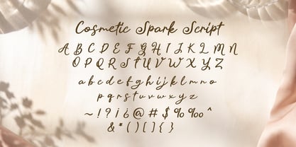 Cosmetic Spark Font Poster 9