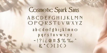 Cosmetic Spark Font Poster 8