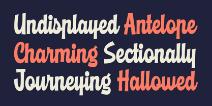 Richale Font Poster 4
