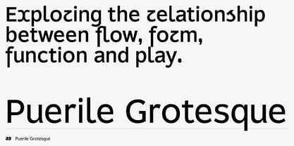 Puerile Grotesque Font Poster 9