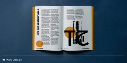 Puerile Grotesque Font Poster 4