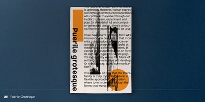Puerile Grotesque Font Poster 6