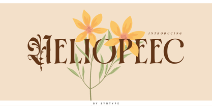 Heliopeec Font Poster 1