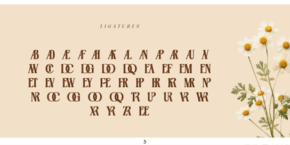 Heliopeec Font Poster 5