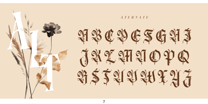 Heliopeec Font Poster 7