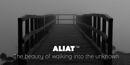 Aliat Font Poster 4