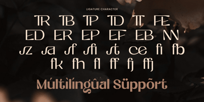 Fastue Font Poster 12