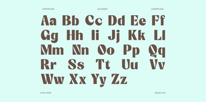 Candeur Font Poster 2