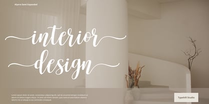 Alyora Script Font Poster 8