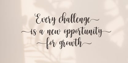 Alyora Script Font Poster 3