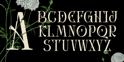 Avielo Naille Font Poster 3