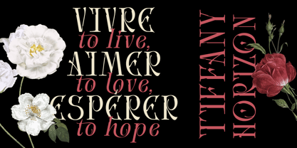 Avielo Naille Font Poster 6