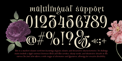 Avielo Naille Font Poster 7