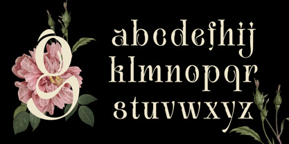 Avielo Naille Font Poster 5