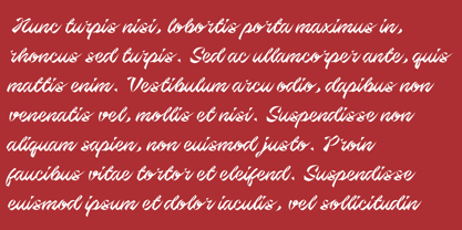 Berlin Script Font Poster 2