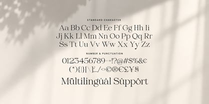 Bulgary Font Poster 6