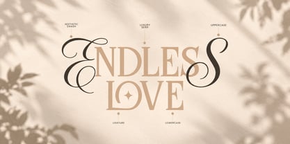 Endless Love Font Poster 4