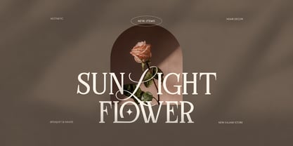 Endless Love Font Poster 8