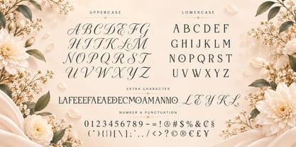 Endless Love Font Poster 5