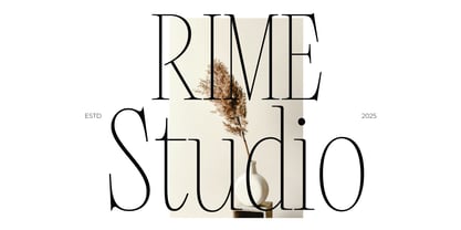 Aneria Font Poster 7