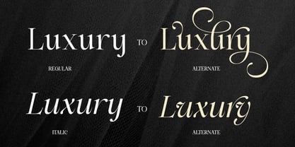 Alerigue Font Poster 9
