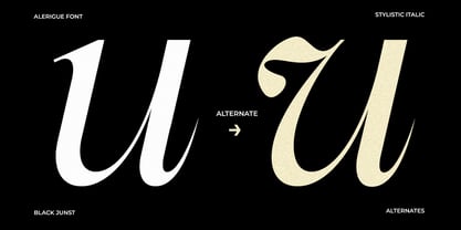Alerigue Font Poster 10