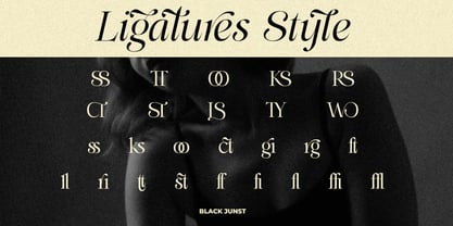 Alerigue Font Poster 15