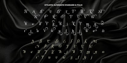 Alerigue Font Poster 14