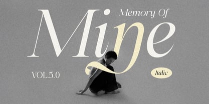 Alerigue Font Poster 3