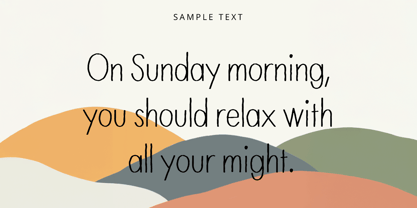 NmSignature Font Poster 3