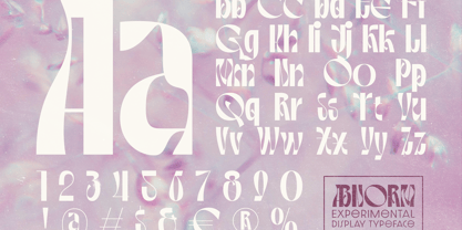 Abnorm Font Poster 2
